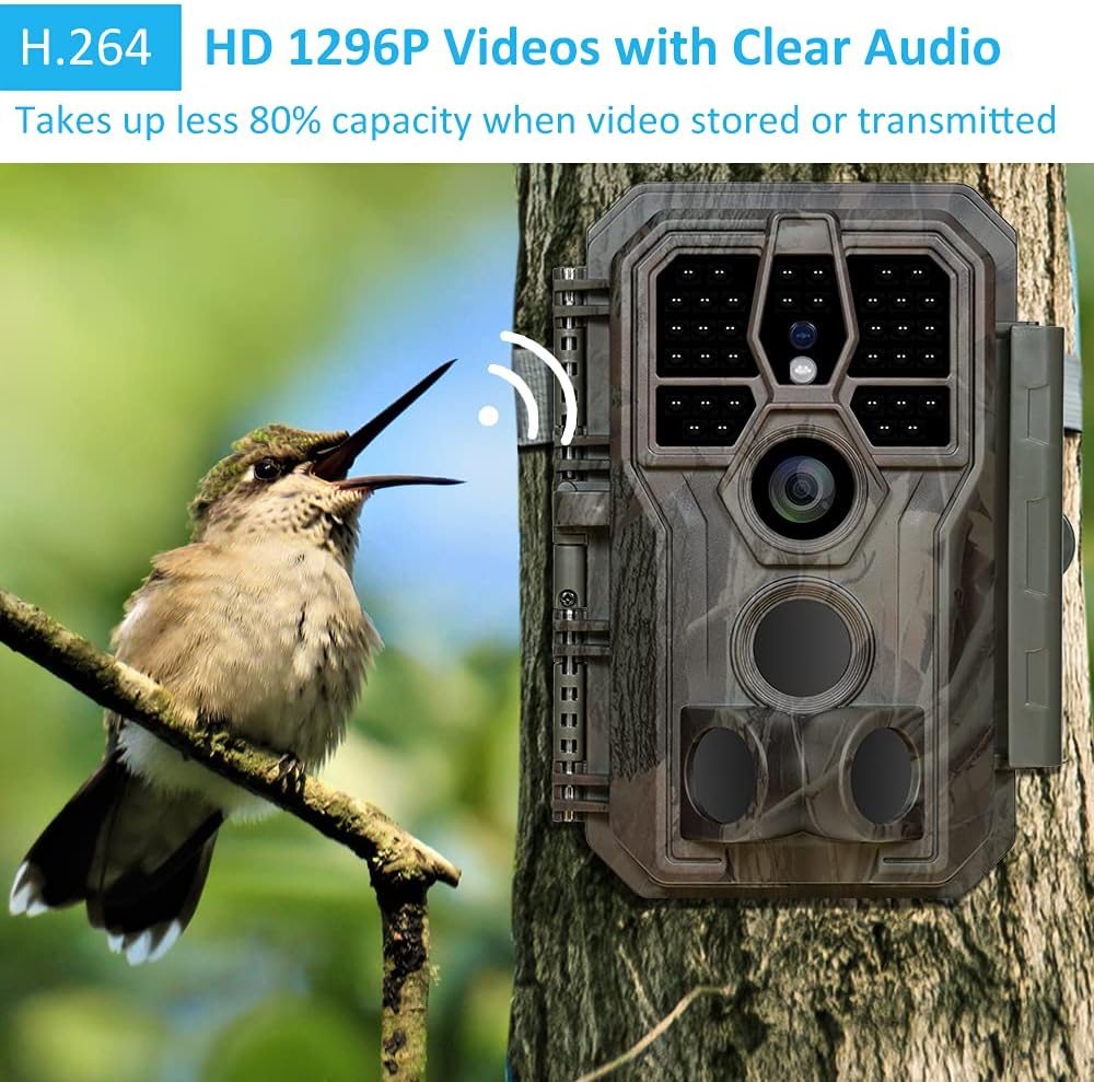 Camo Trail Camera with Night Vision W6625