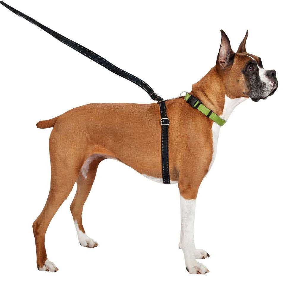Retractable Dog Leash S241823