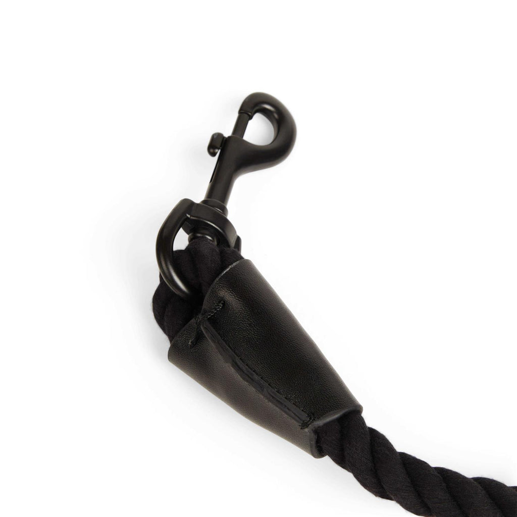 Pet Supplies I388363