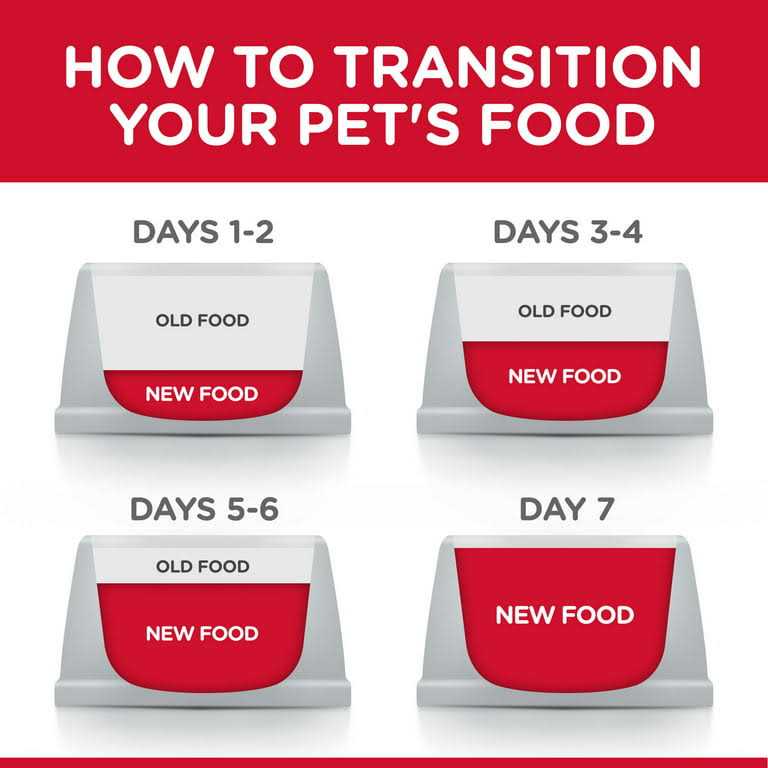 Dry Cat Food R378