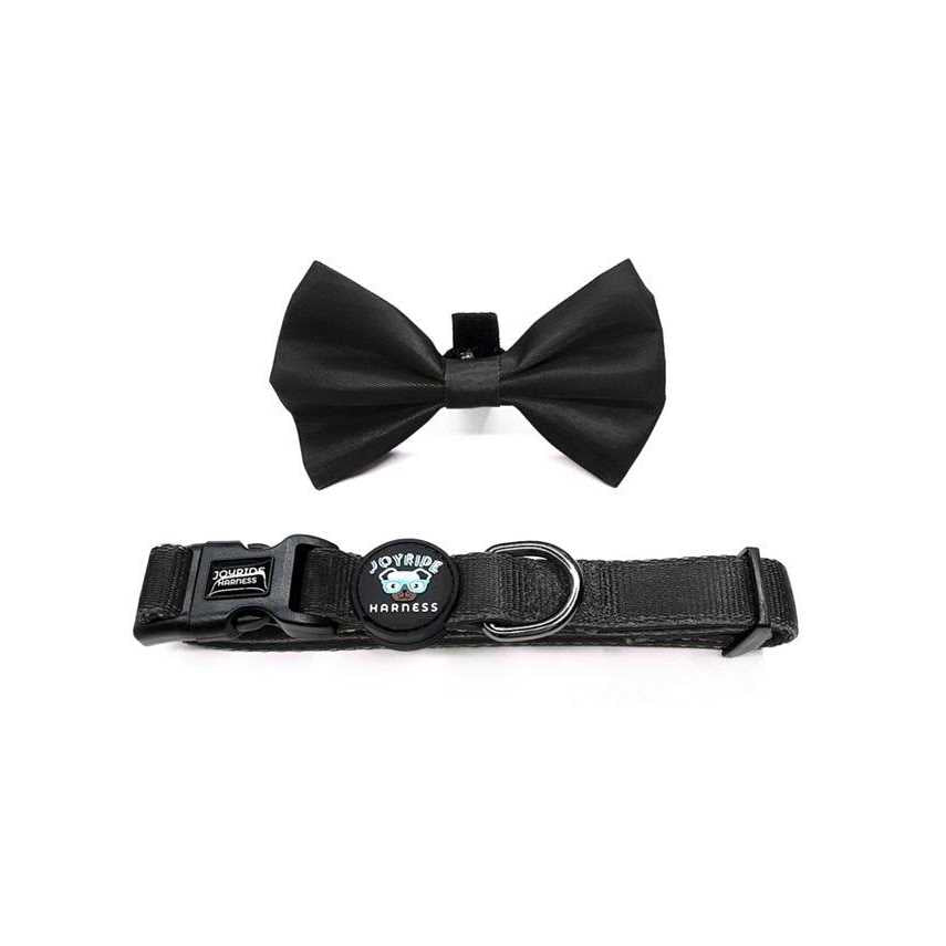 Dog Collar with Removable Bow Tie X833265