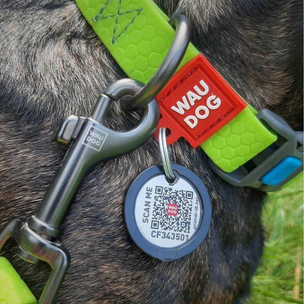Waterproof Dog Collar I883608
