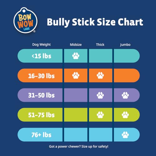 6" 100% Beef Bully Sticks - 10 Pack X152654