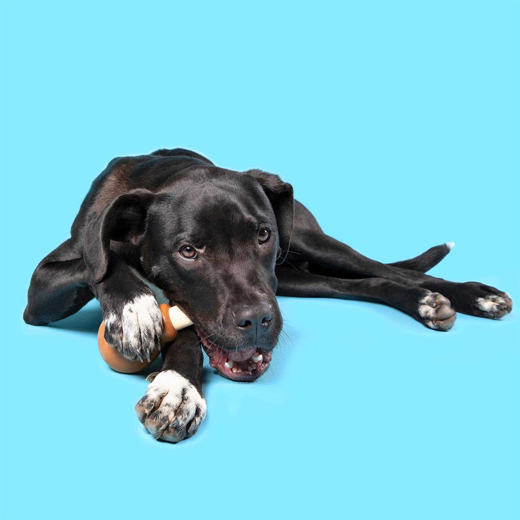 Super Chewer Dog Toy W8070