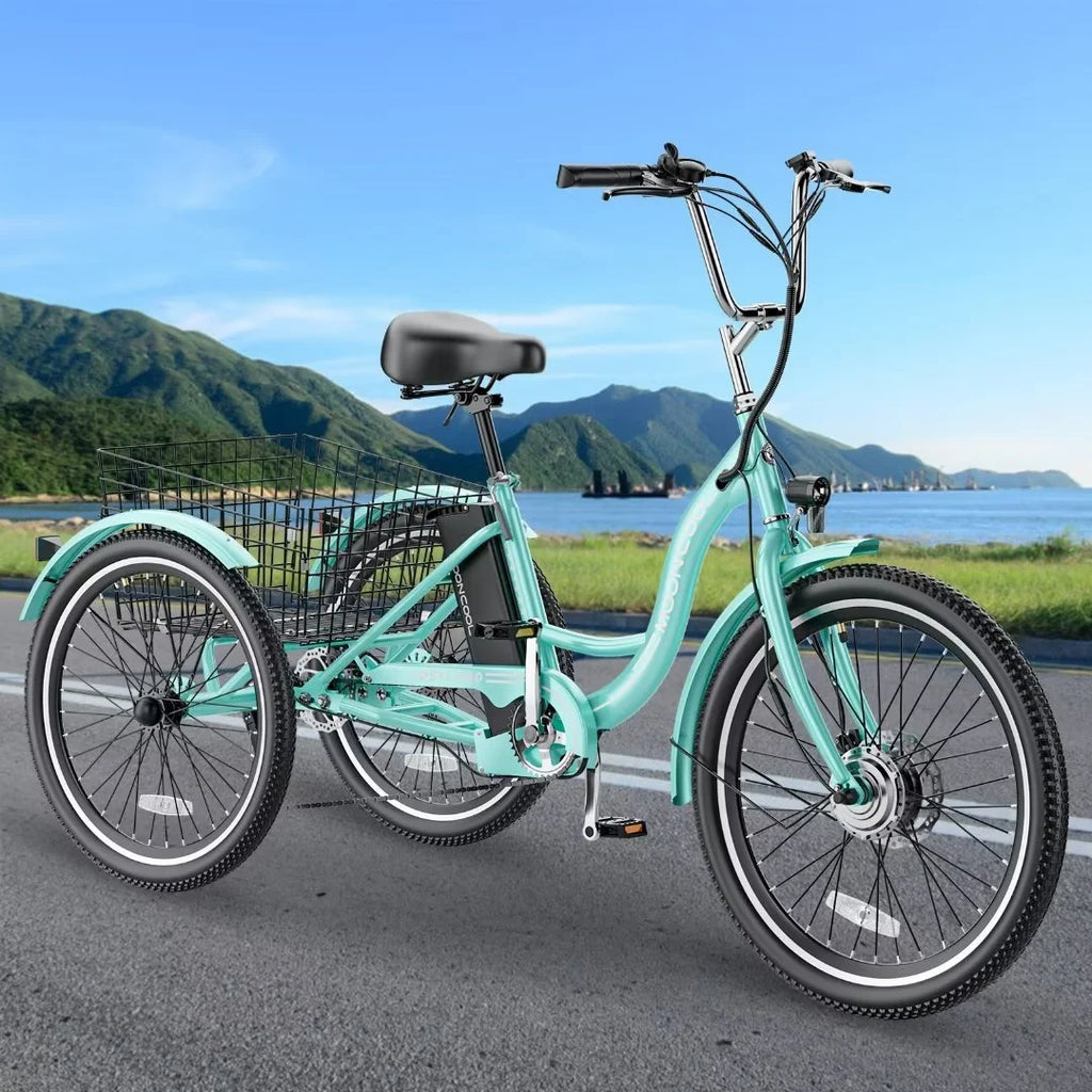 24" 350W 3 Wheel Electric Tricycle E533