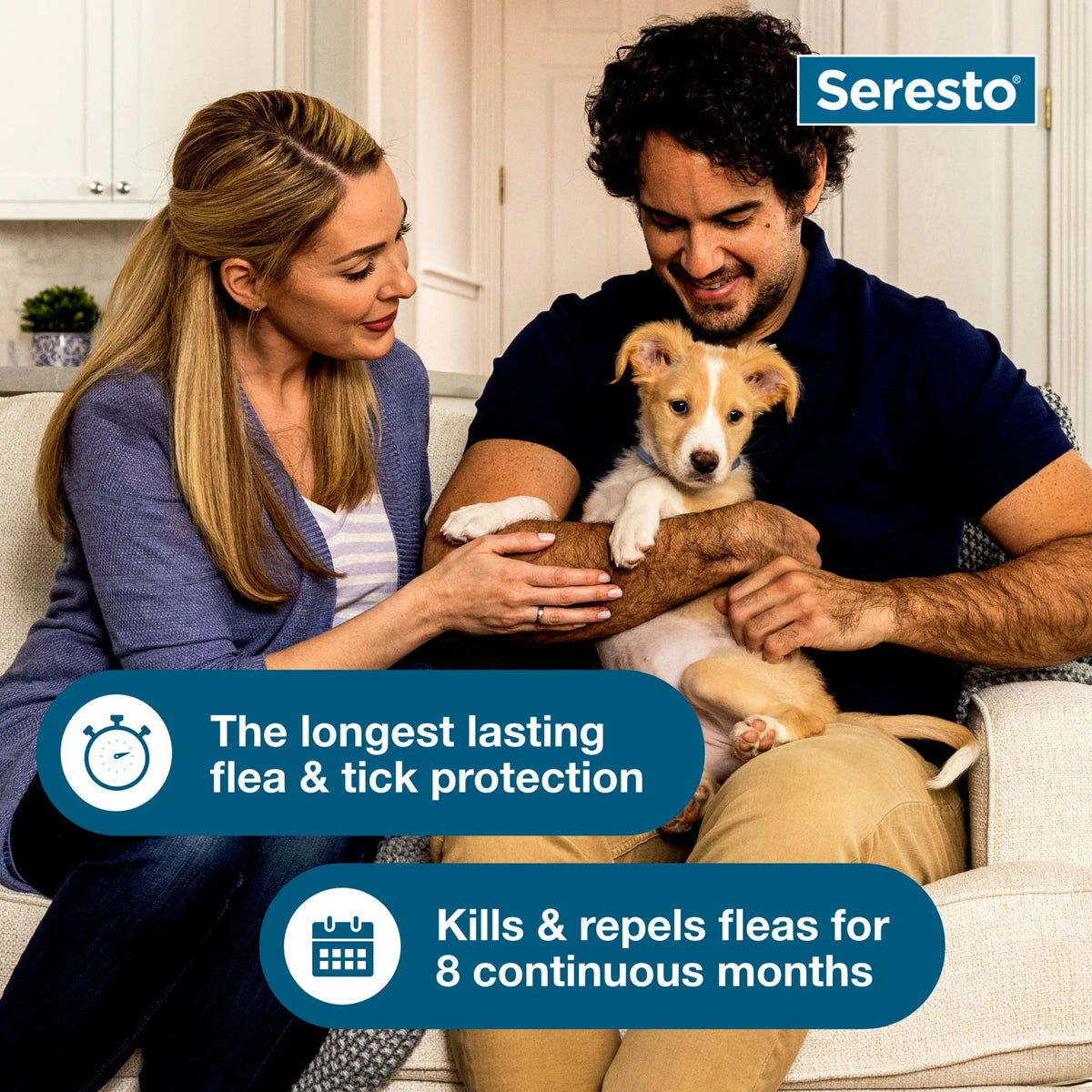Small Dog 8-Month Flea & Tick Prevention Collar V639974