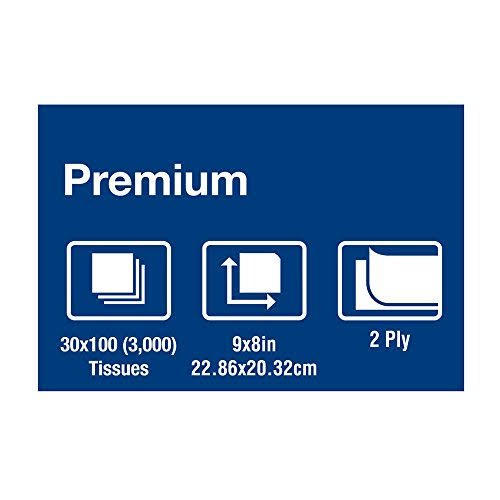2-Ply White Facial Tissue, 100 Sheets/Box, 30 Boxes/Carton L196