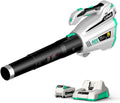 Cordless Leaf Blower 40V with 2.5Ah Battery & Charger Q466264