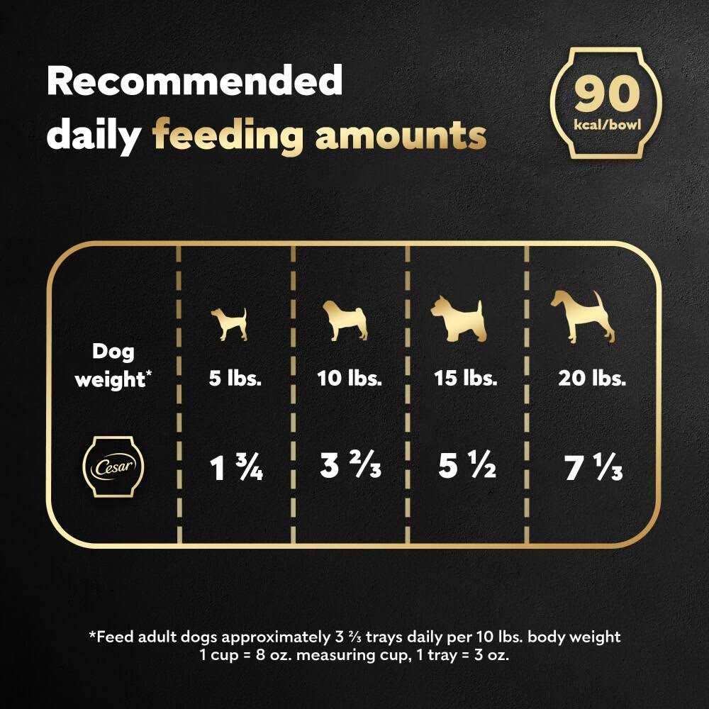 Wet Dog Food Bowls Y27003