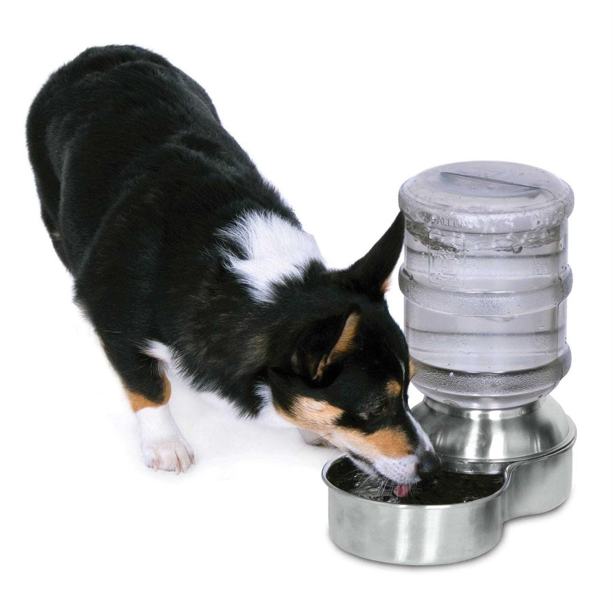 Stainless Steel Waterer N3814