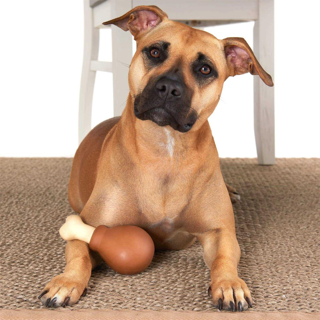 Super Chewer Dog Toy W8070