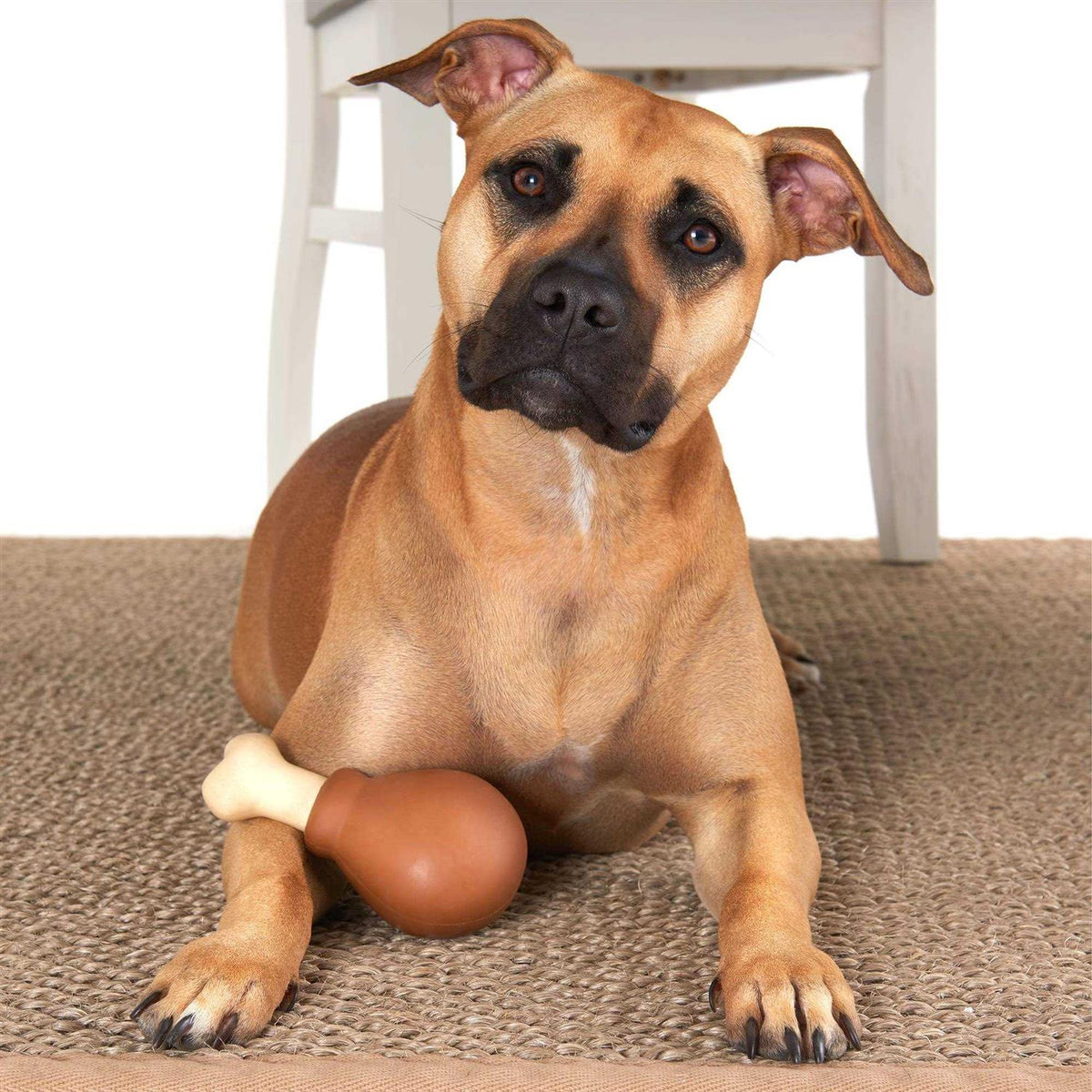 Super Chewer Dog Toy W8070
