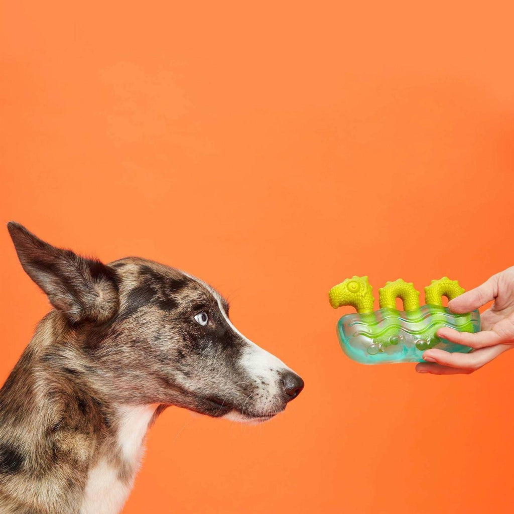 Durable Rubber & Nylon Dog Toys & Chews G397453