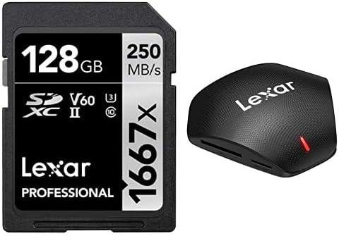 256GB SDXC UHS-II Card S8794
