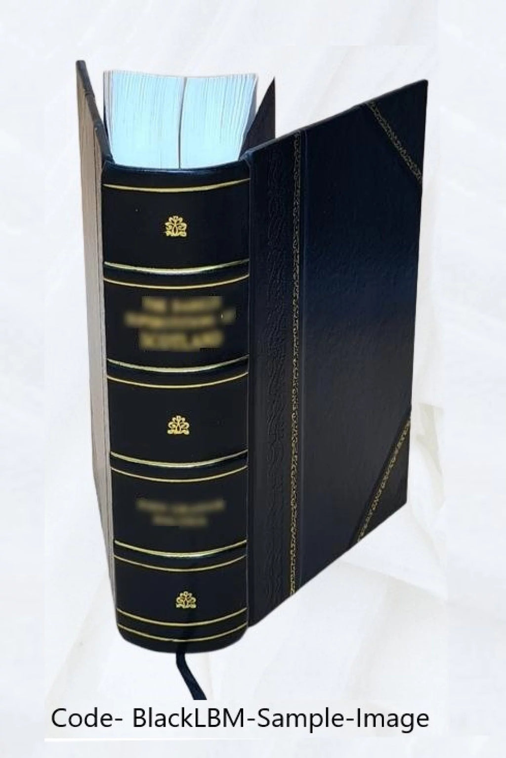 Leather Bound Book Q7678