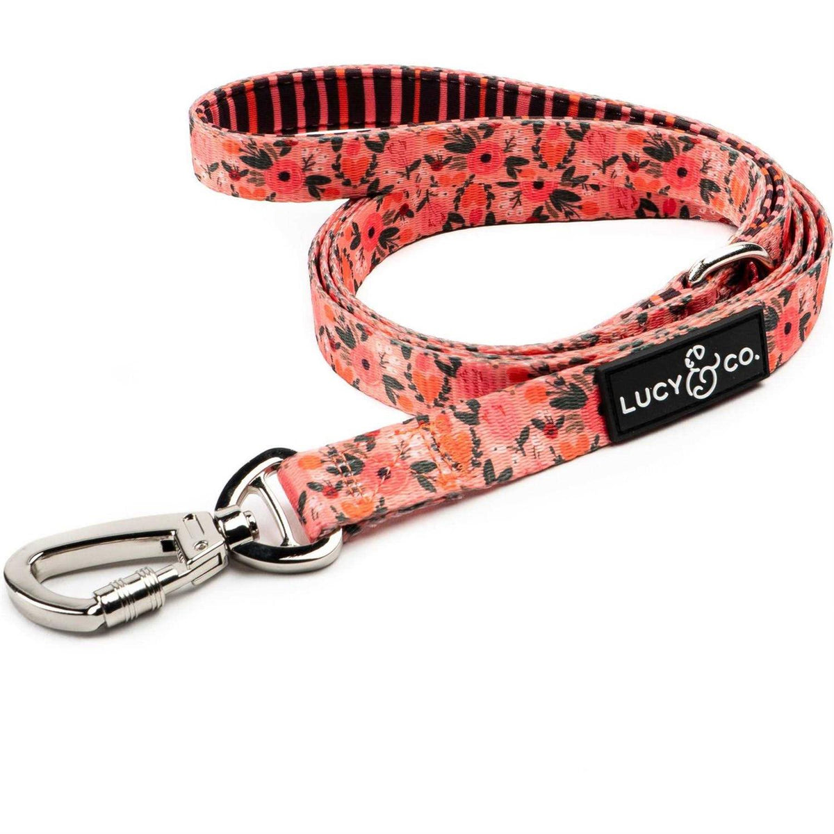 Leash L2422