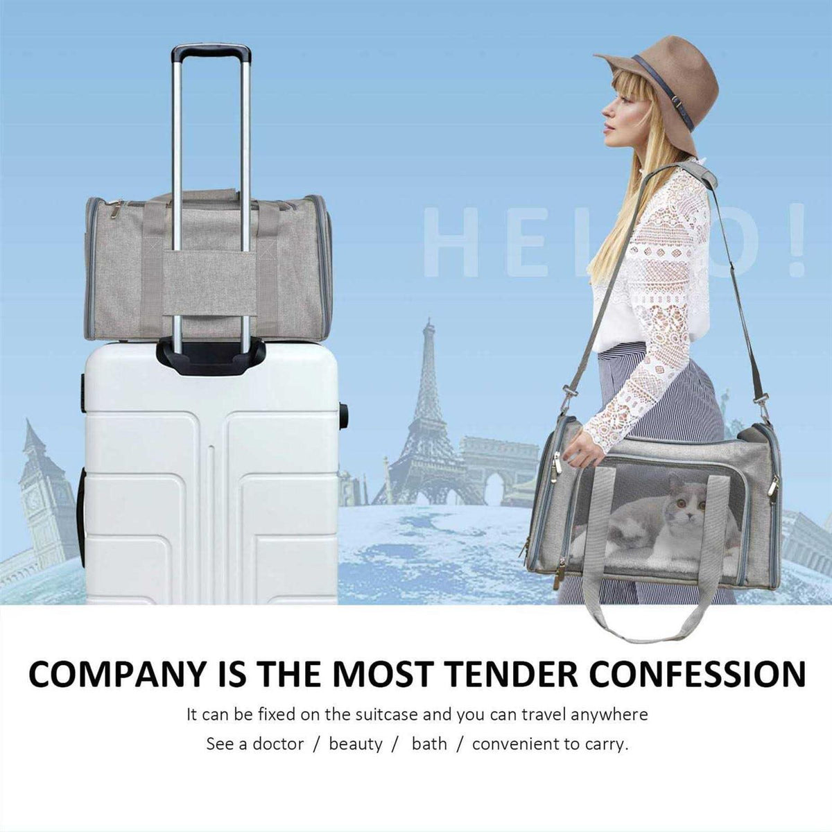 Pet Carrier D85754