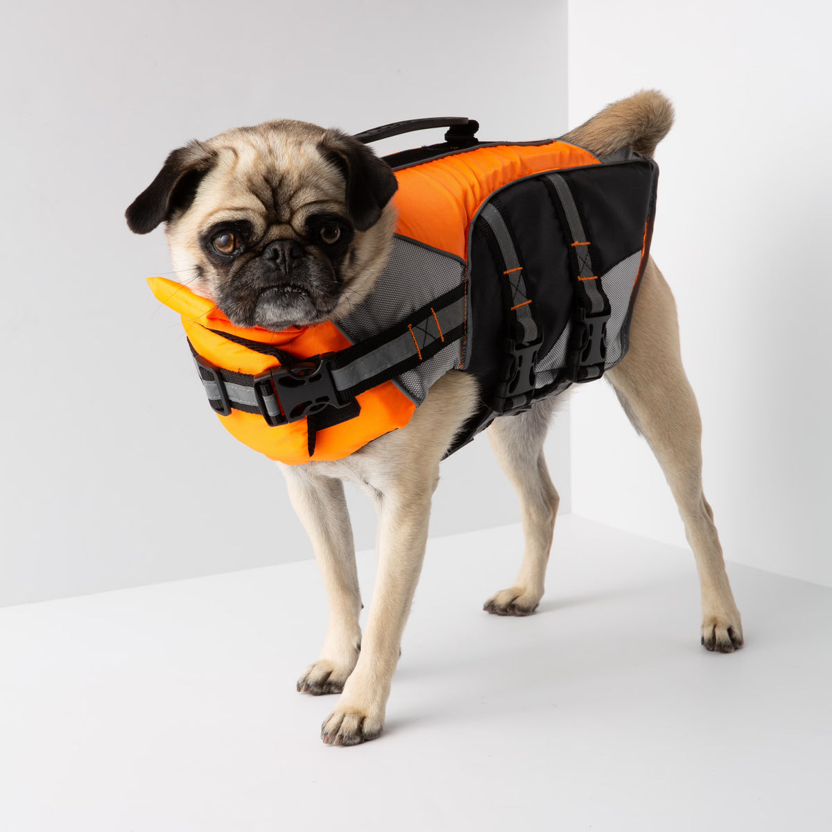 Orange Dog Life Jacket V86609