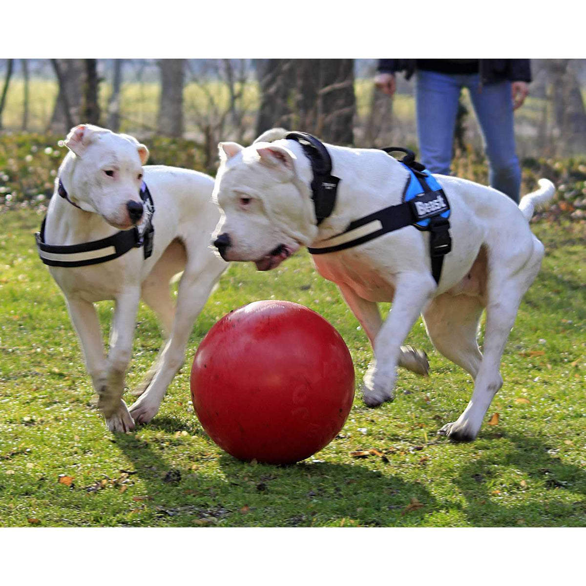 Push n Play Ball I96576