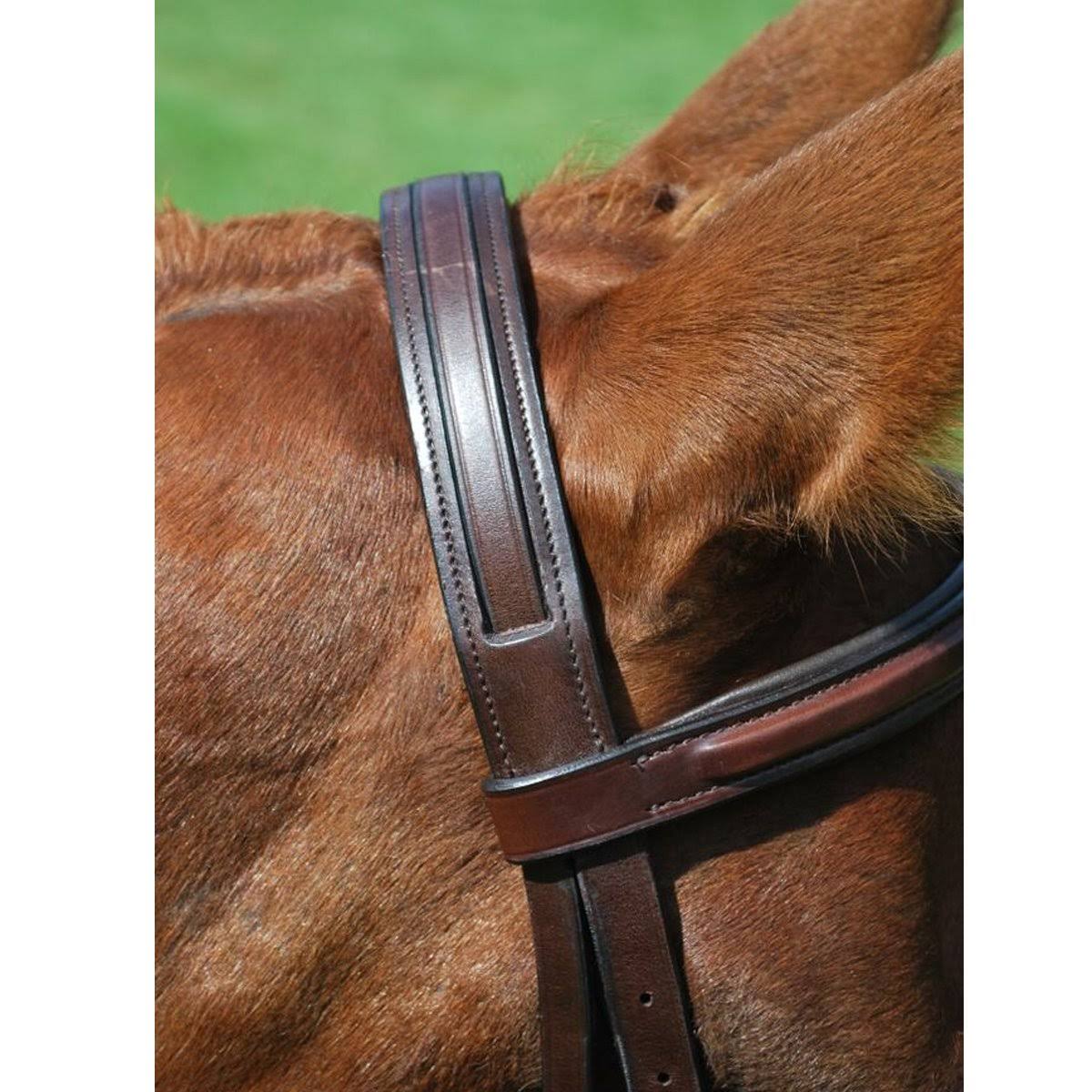 Oversize Hunter Bridle N144076