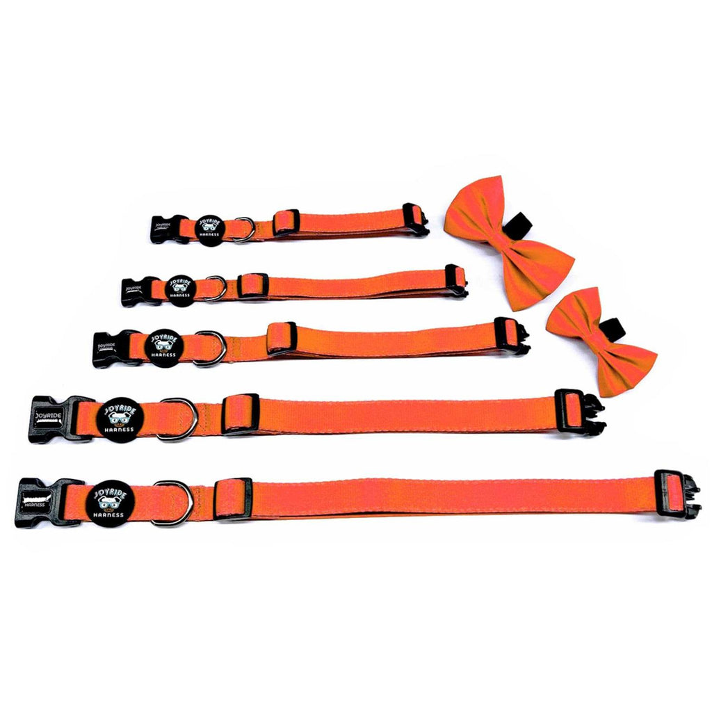 Dog Collar with Removable Bow Tie X833265