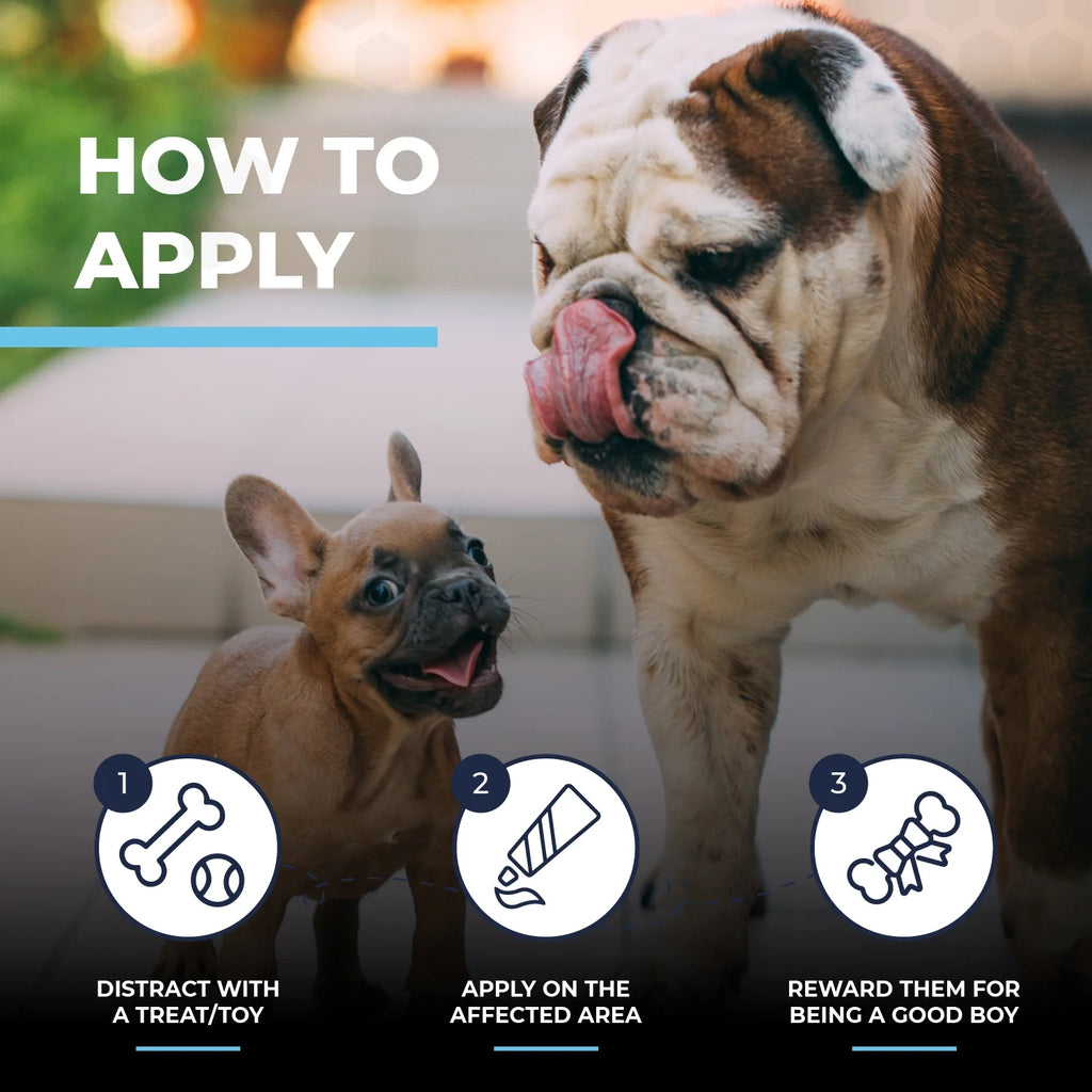 2 Oz Wrinkle Cream and 50 Wrinkle Wipes for Bulldogs P545