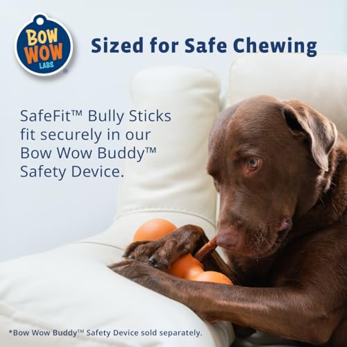 6" 100% Beef Bully Sticks - 10 Pack X152654