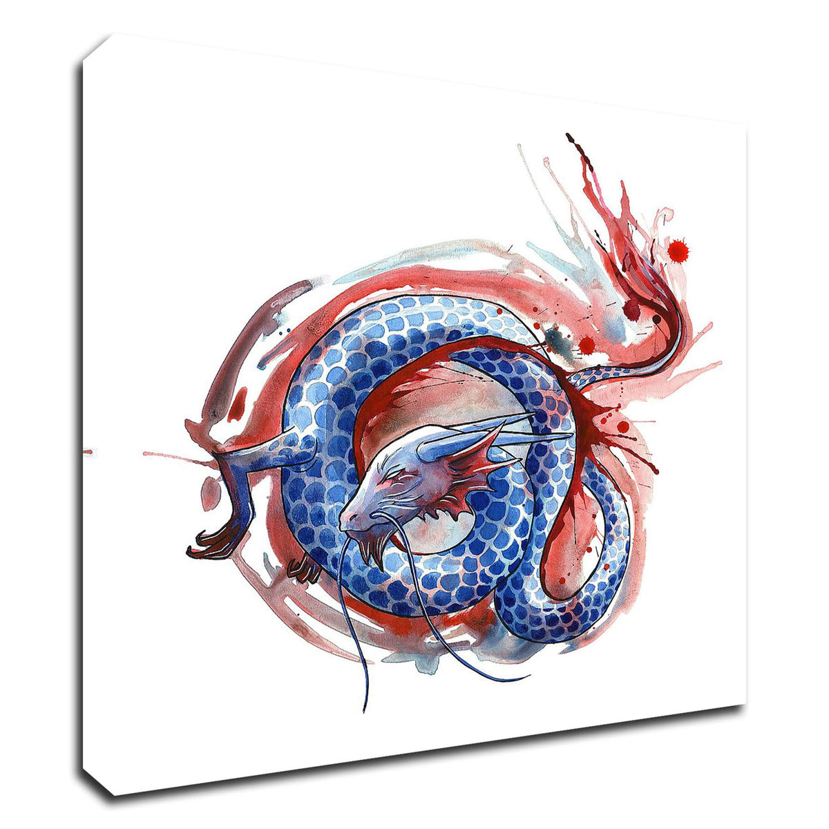 Print on Canvas Ready to Hang A97563
