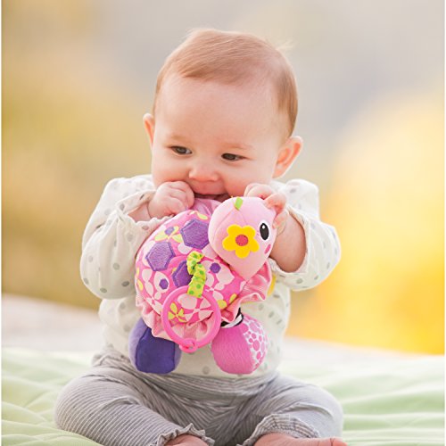 Topsy Turtle Mirror Pal W87597