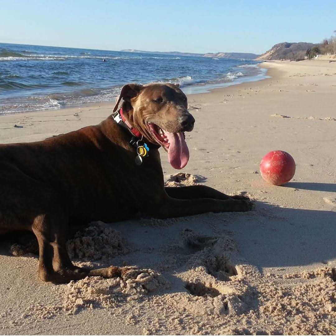 Push n Play Ball I96576