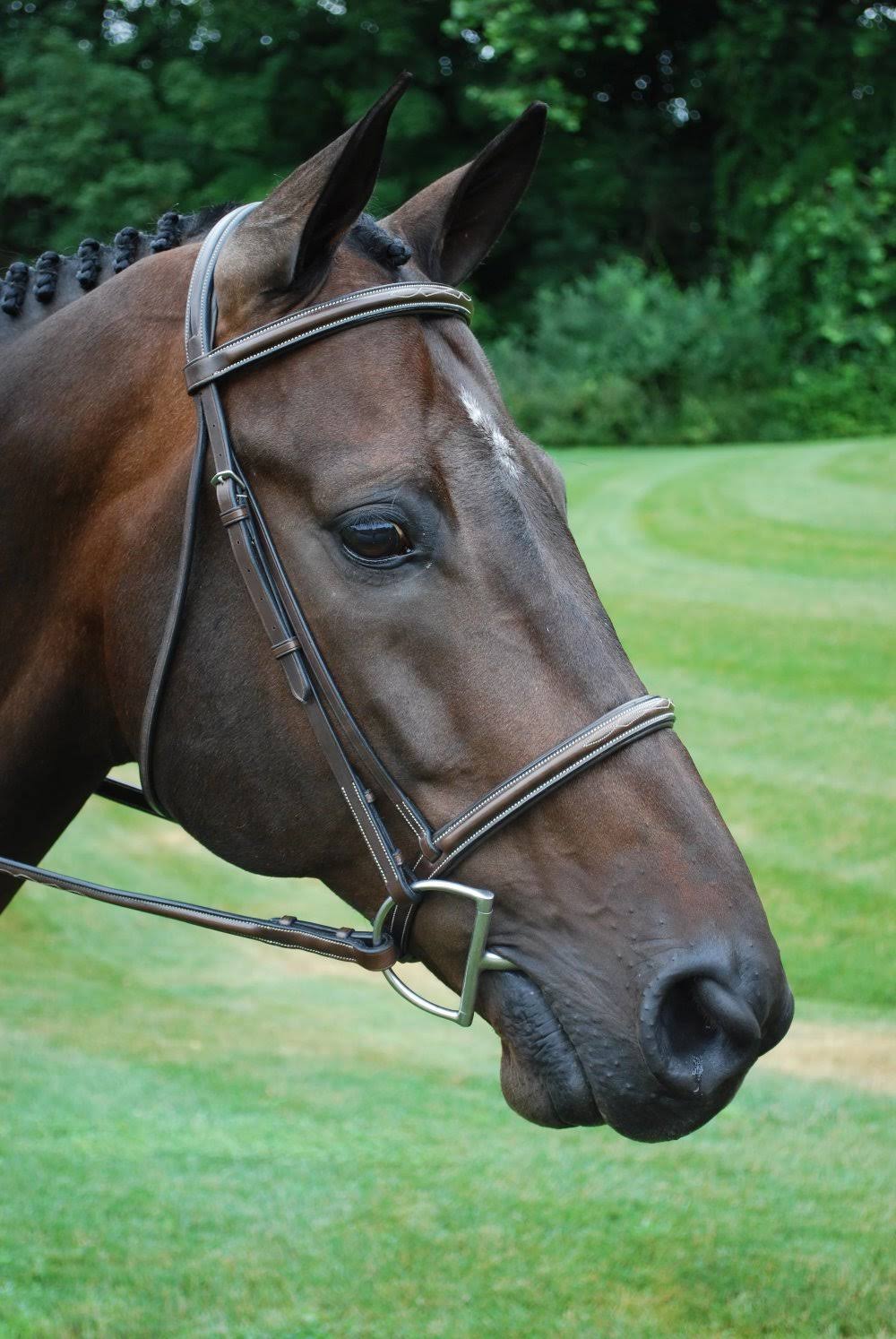 Oversize Hunter Bridle N144076