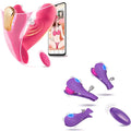 Nipple Clamps & Wearable Vibrator A89396