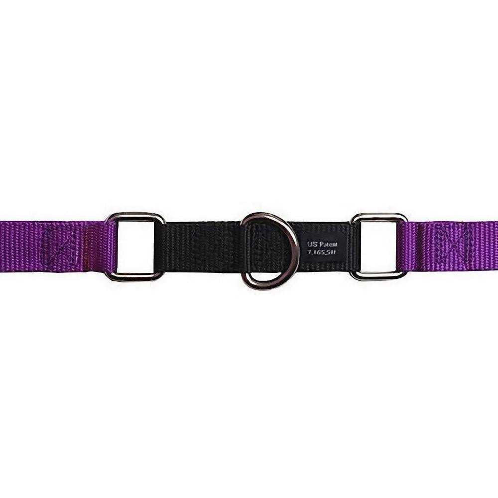 No Pull Dog Harness Leash D4979
