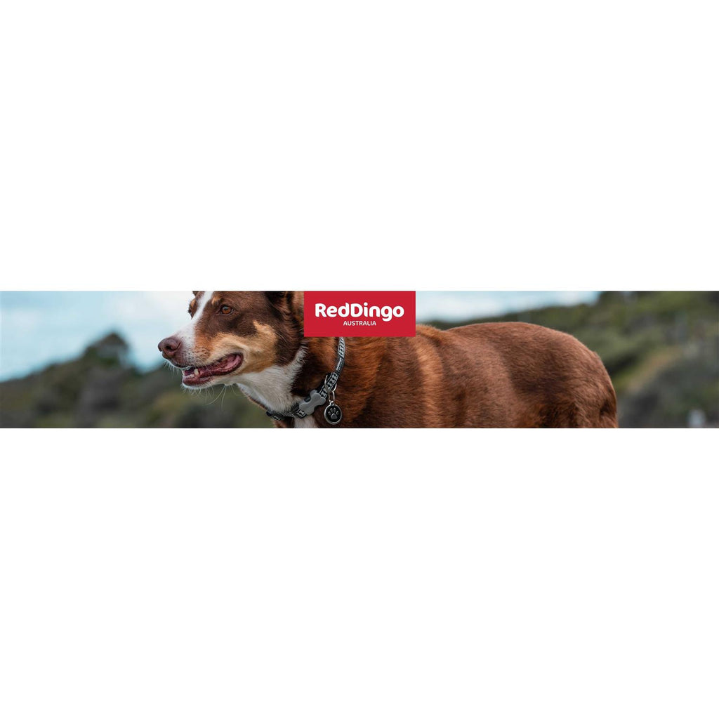 Dog Harness D11530