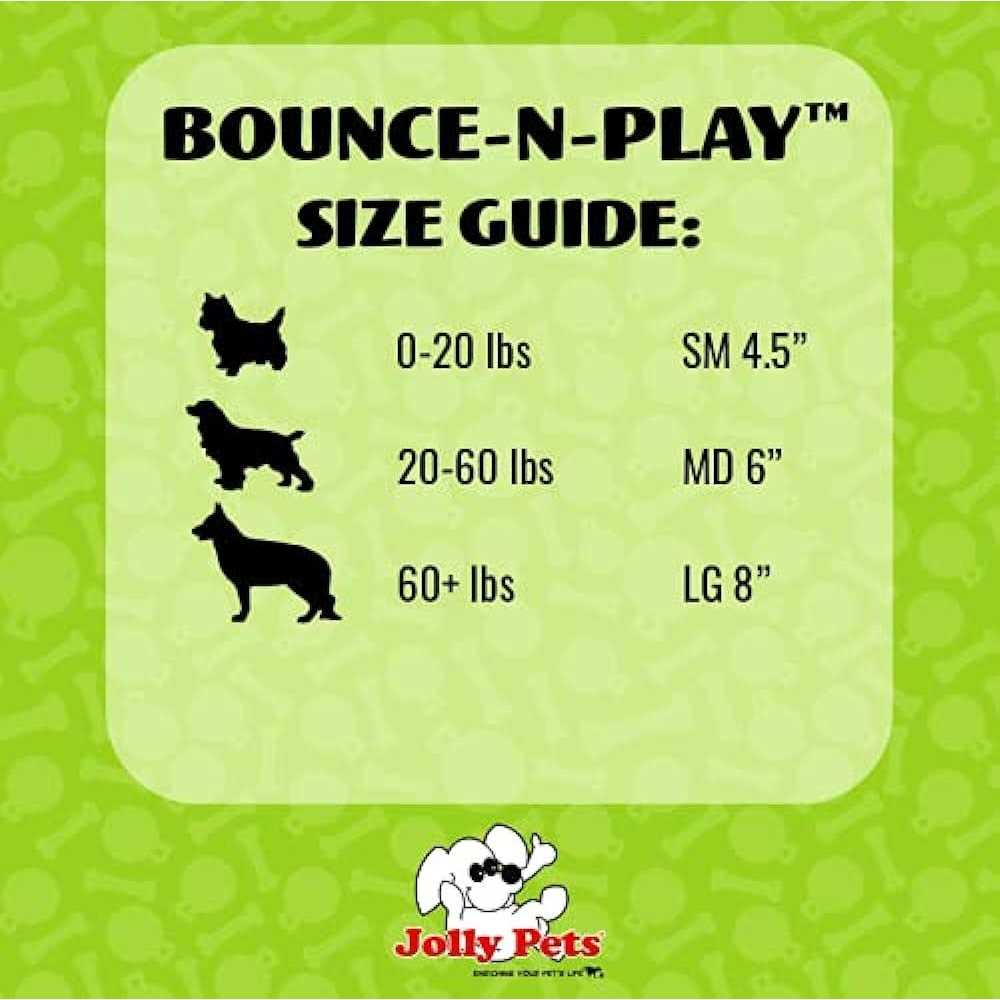 Bounce N Play F681