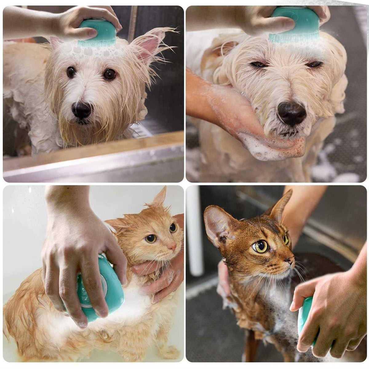Dog Bath Brush with Shampoo Dispenser T910