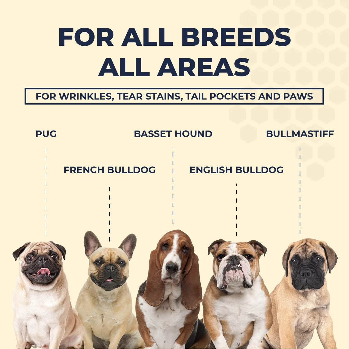 2 Oz Wrinkle Cream and 50 Wrinkle Wipes for Bulldogs P545