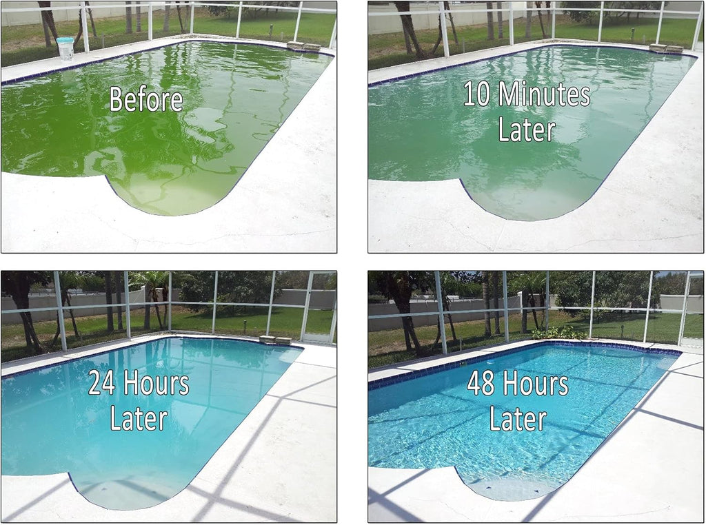 32 oz Pack of 2 Swimming Pool Phosphate and Algae Remover Chemical N89086