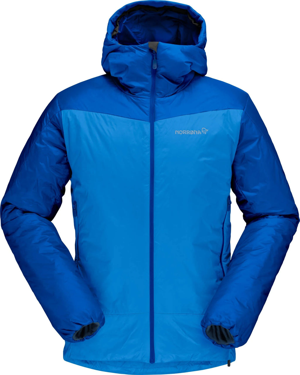 Campanula Hood Y460061