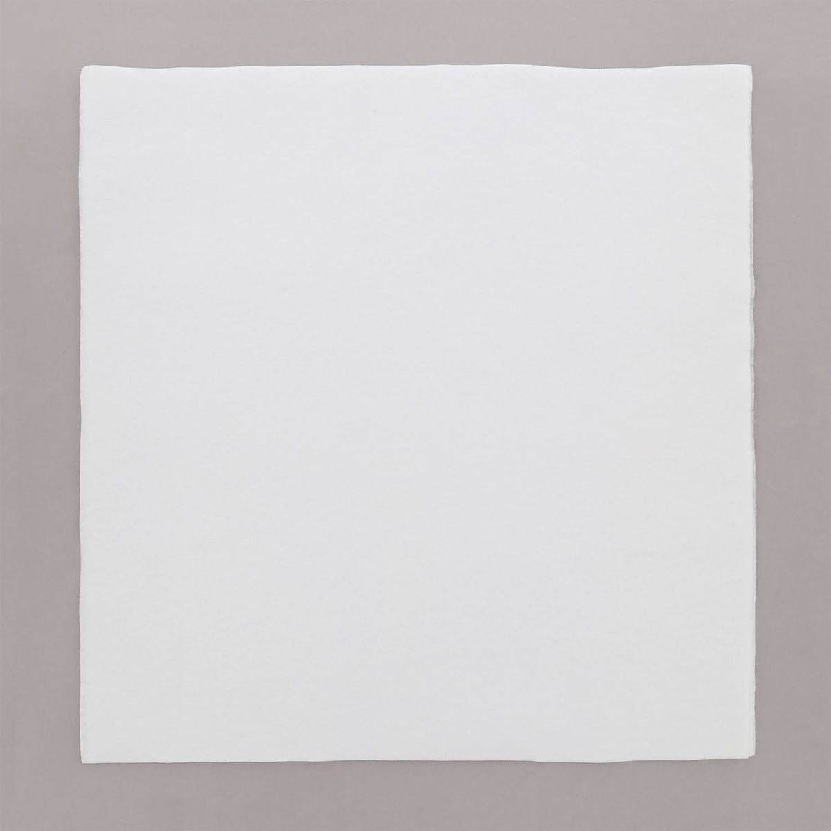 16x22 Airlaid Napkins, Pack of 1000 A225