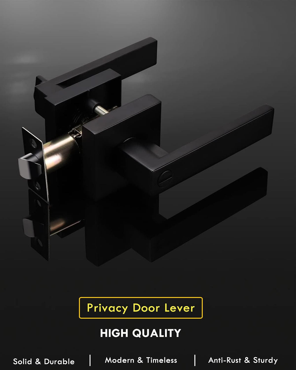 Matte Black Privacy Door Lever with Lock S481
