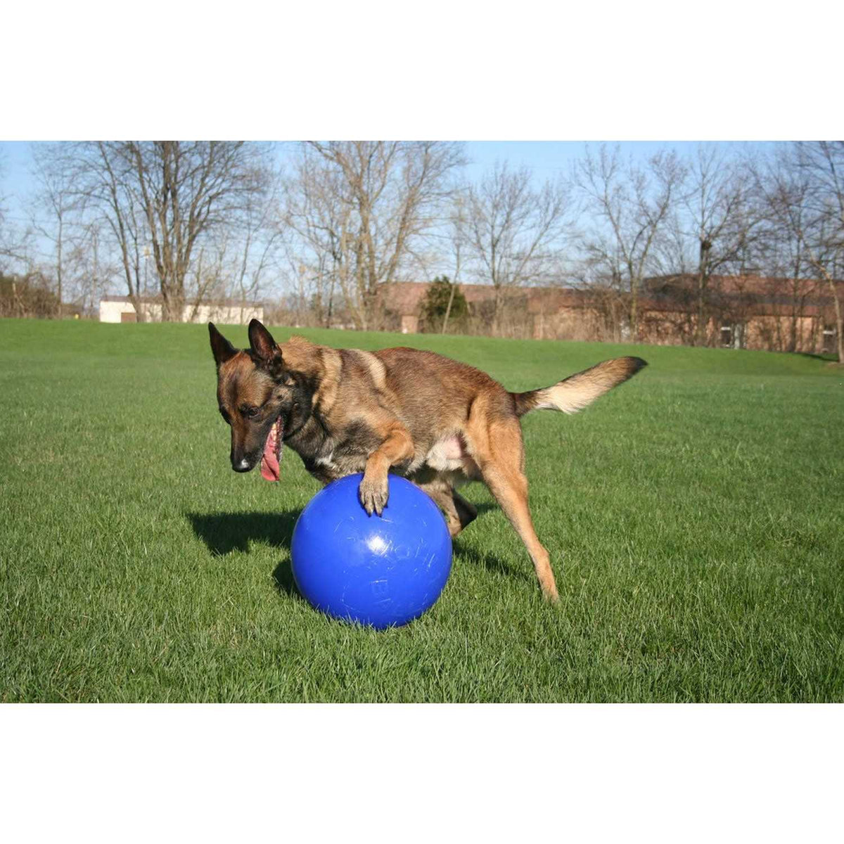Push n Play Ball I96576