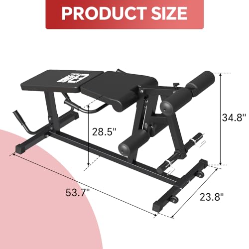 Leg Extension and Leg Curl Machine I232