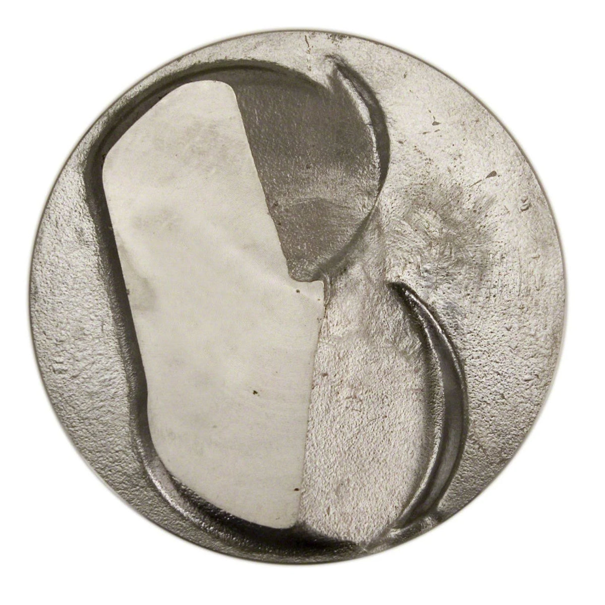 Cast Piston S758563