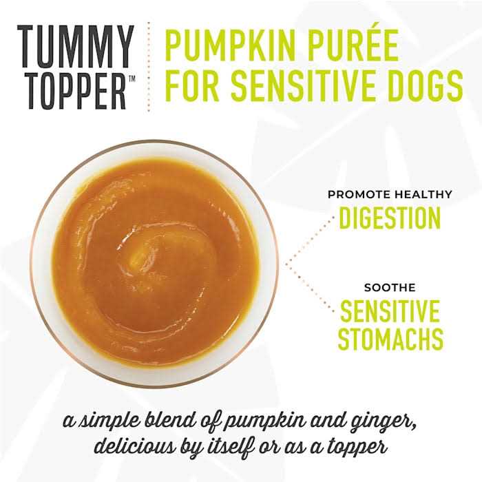 Pumpkin Ginger Dog Food Topper T16246