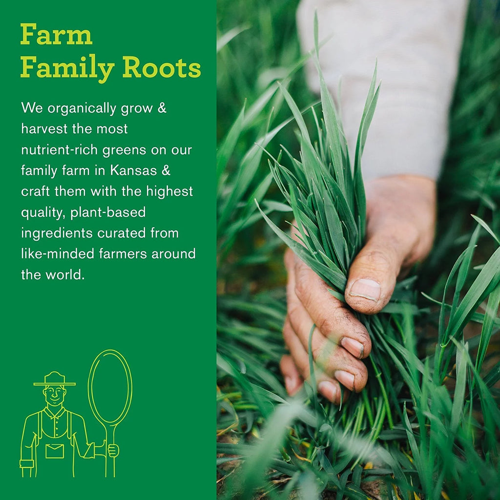 Organic Kale Powder O71442