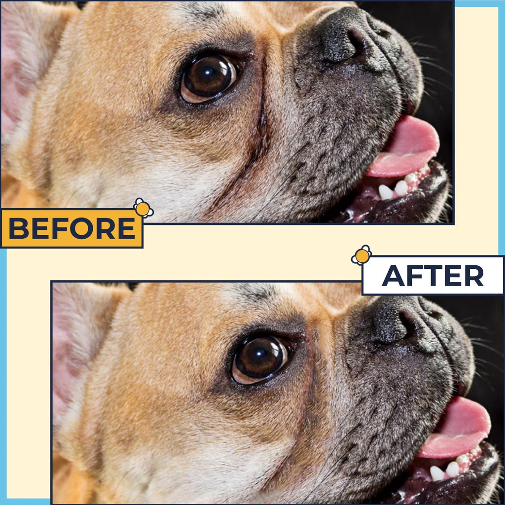 2 Oz Wrinkle Cream and 50 Wrinkle Wipes for Bulldogs P545
