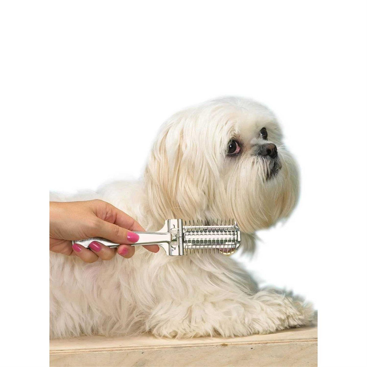 Precision pet grooming appliance Z326