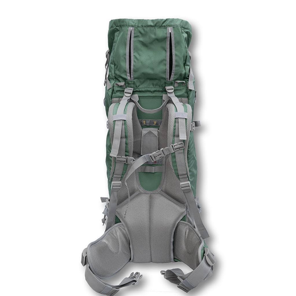 Green Dog Carrier Backpack F302546