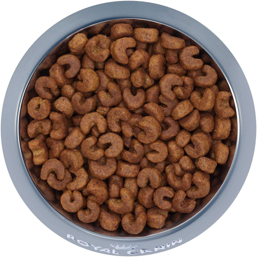 Adult Dry Dog Food K324281